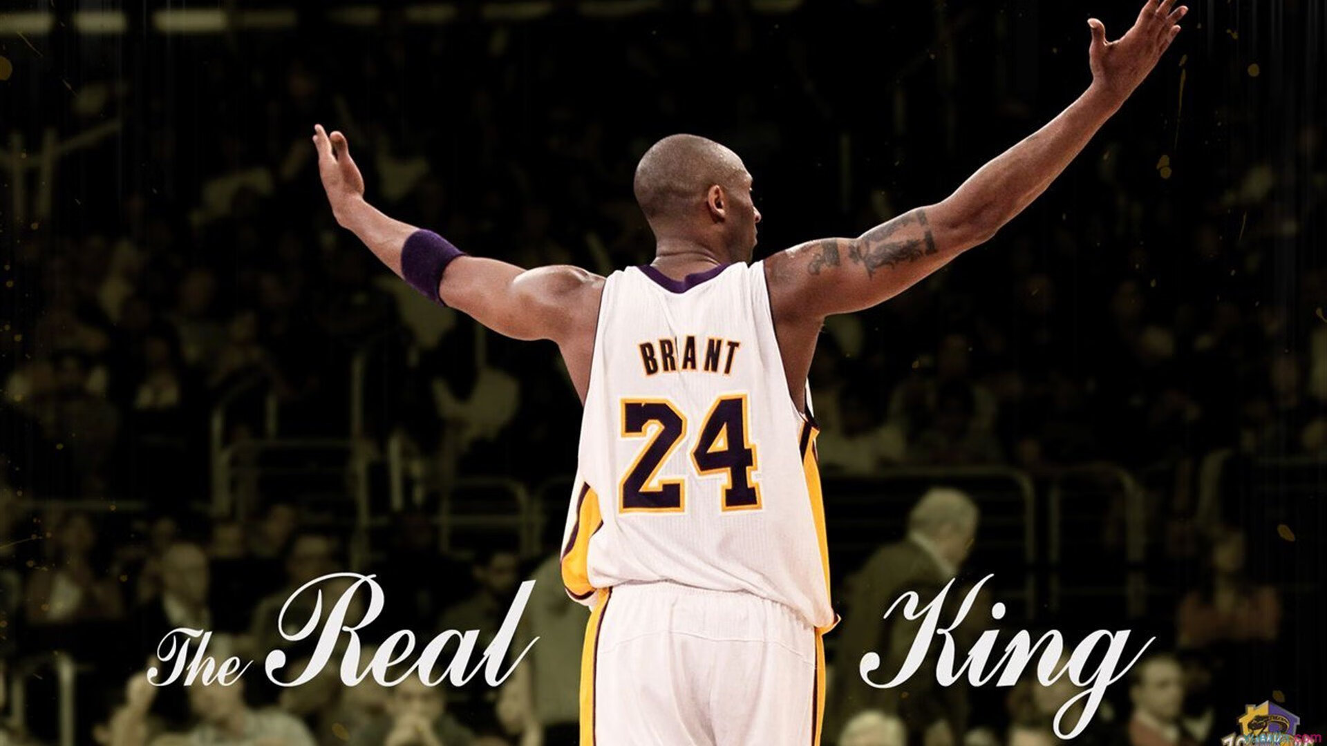 未来之星：哪些新秀最有望冲击“年度MVP”？，未来之星2021